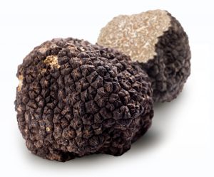 truffe noire