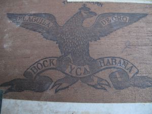 Bock - Reinas de Bock - 2