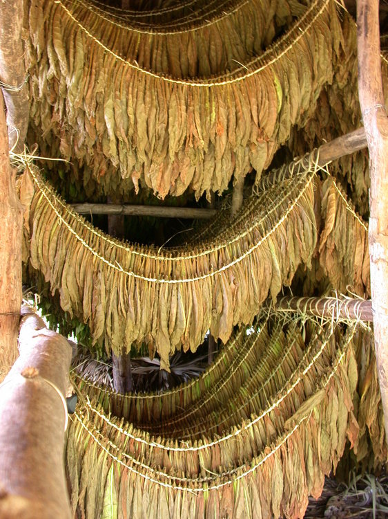 202publique Dominicaine.jpg