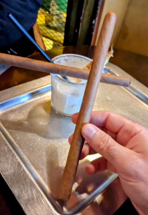 Capture d’écran 2025-03-18 173309.png